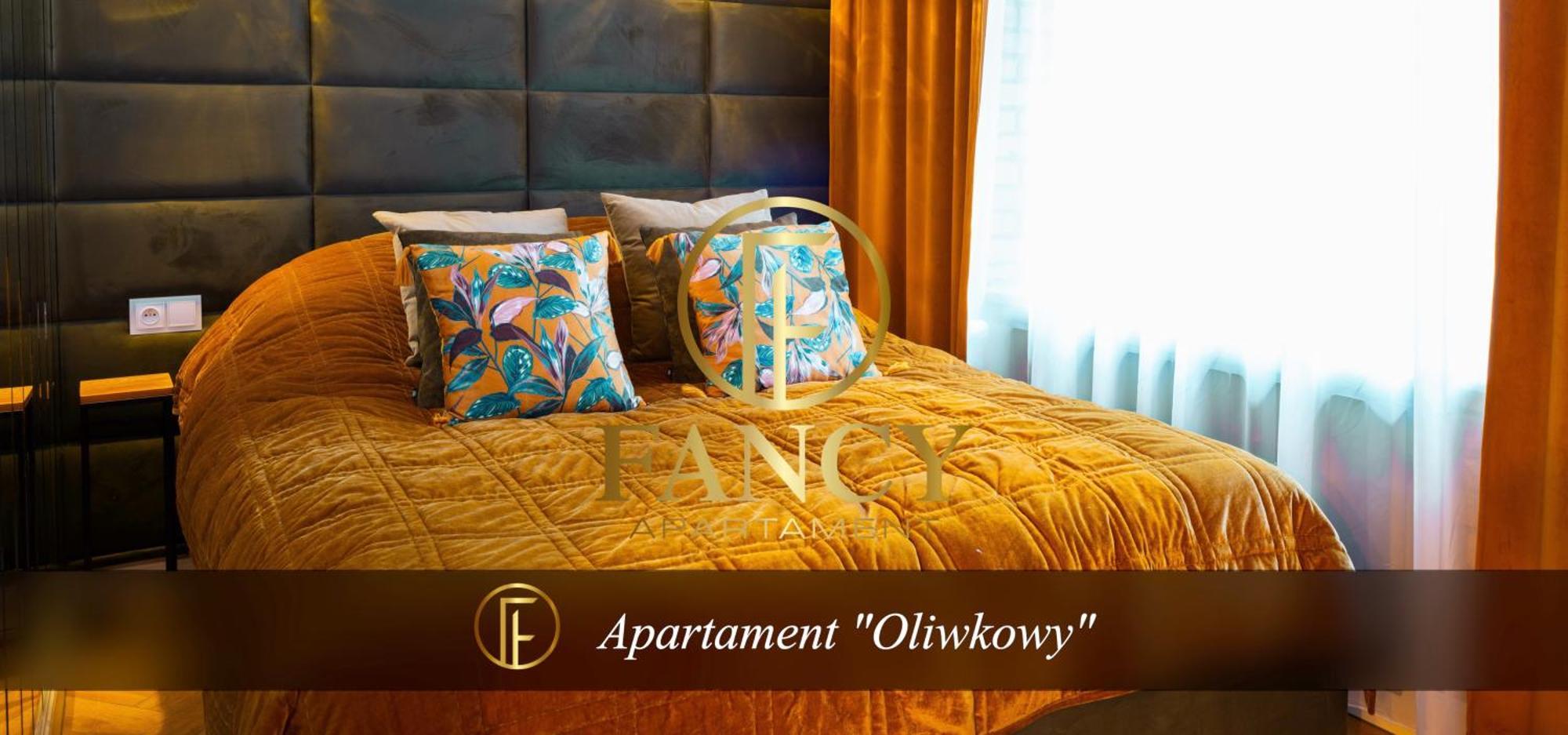 Fancy Apartment Nikiszowiec كاتوفيتسه المظهر الخارجي الصورة